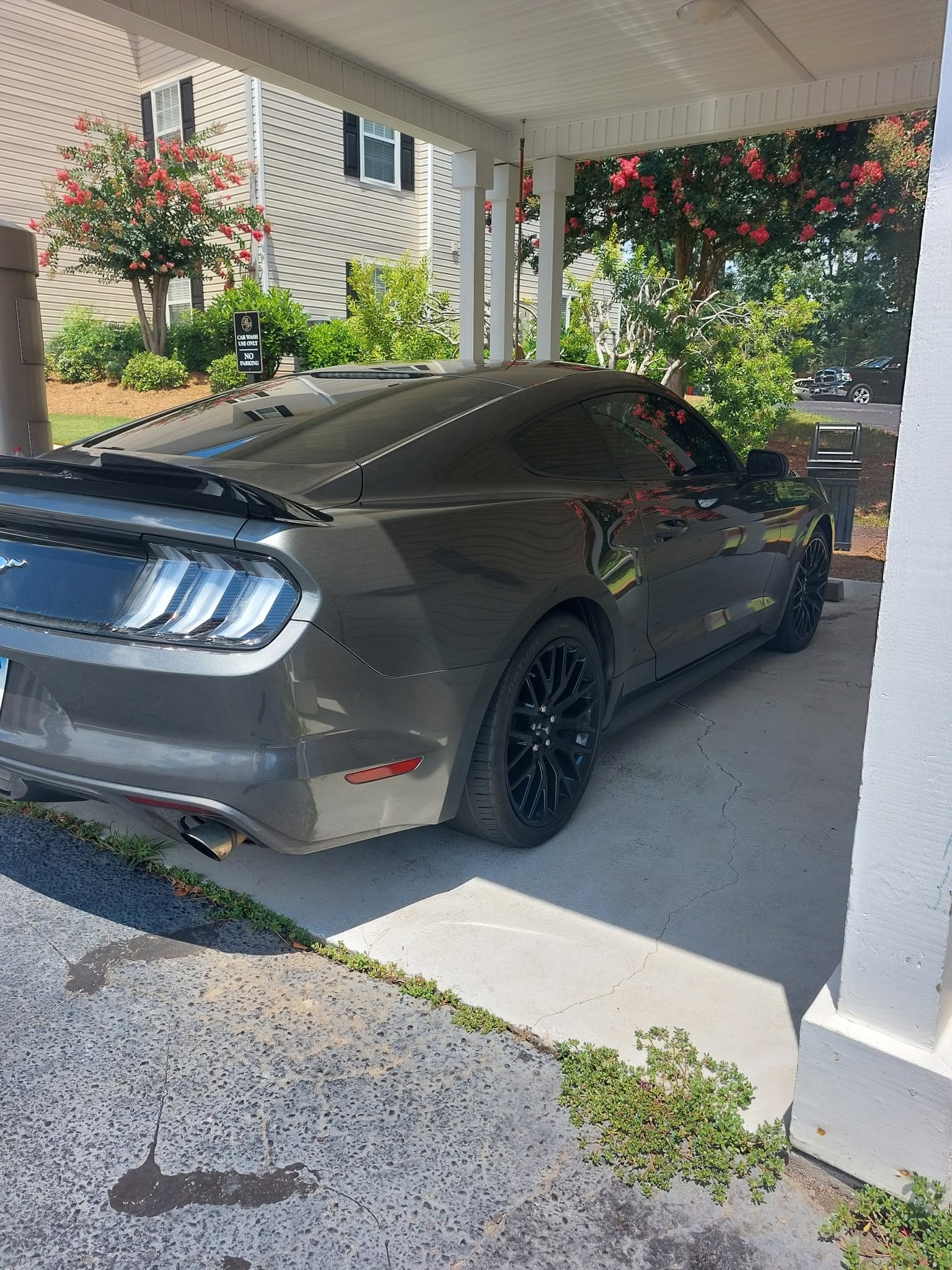 Gray Ford Mustang parked in carport with flowering plants and white house exterior visible